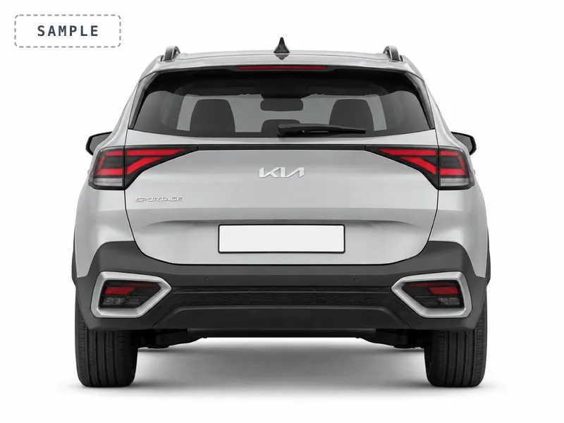 The whole rear of the car, plate in frame